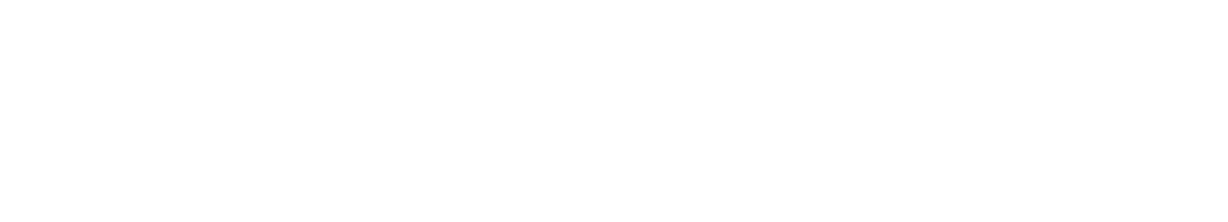 Casa Tua White Logo